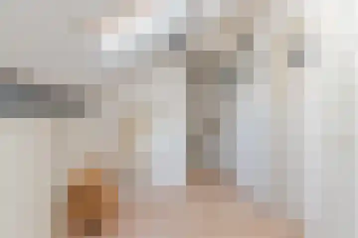 Mauritsweg 37 Geertruidenberg thumbnail 32