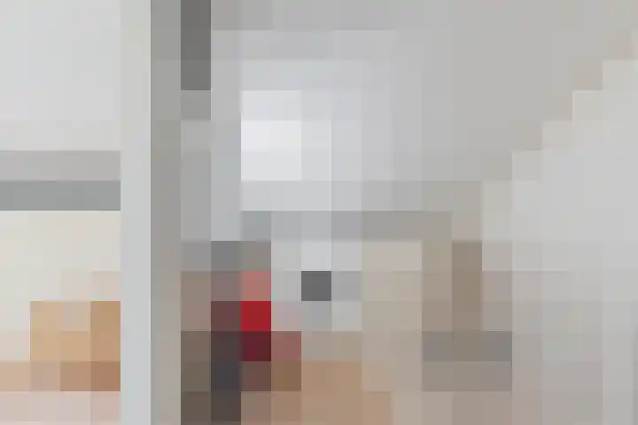 Mauritsweg 37 Geertruidenberg thumbnail 34