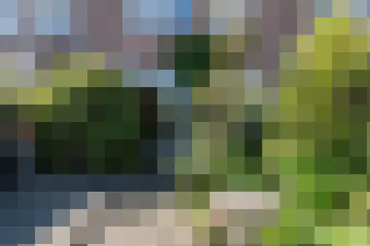 Mauritsweg 37 Geertruidenberg thumbnail 35