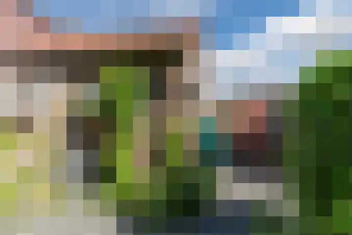 Mauritsweg 37 Geertruidenberg thumbnail 36