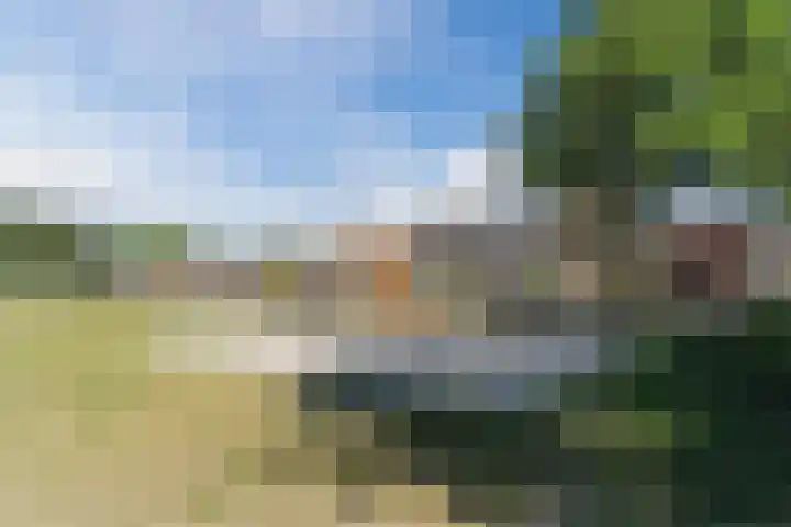 Mauritsweg 37 Geertruidenberg thumbnail 40