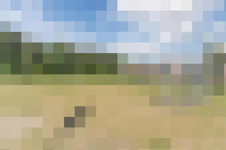 Mauritsweg 37 Geertruidenberg thumbnail 41