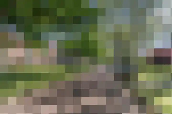 Mauritsweg 37 Geertruidenberg thumbnail 44