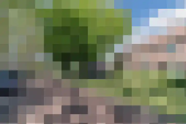 Mauritsweg 37 Geertruidenberg thumbnail 45