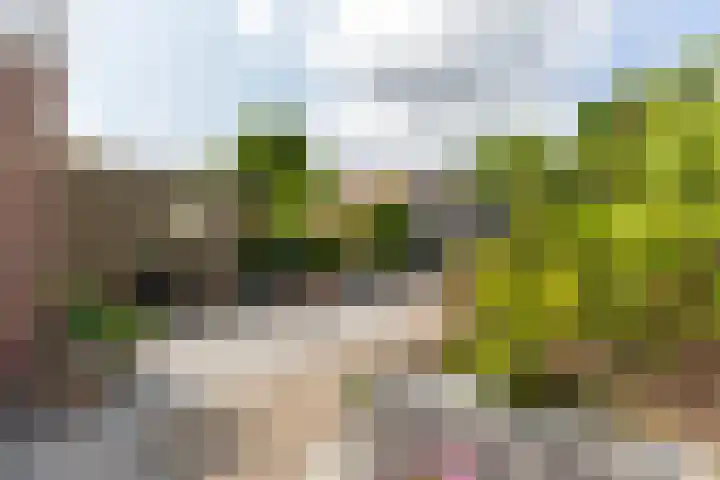 Mauritsweg 37 Ridderkerk thumbnail 43