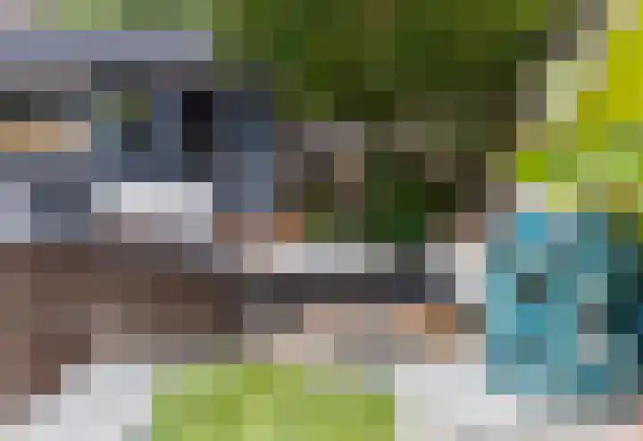 Mauritsweg 37 Ridderkerk thumbnail 49