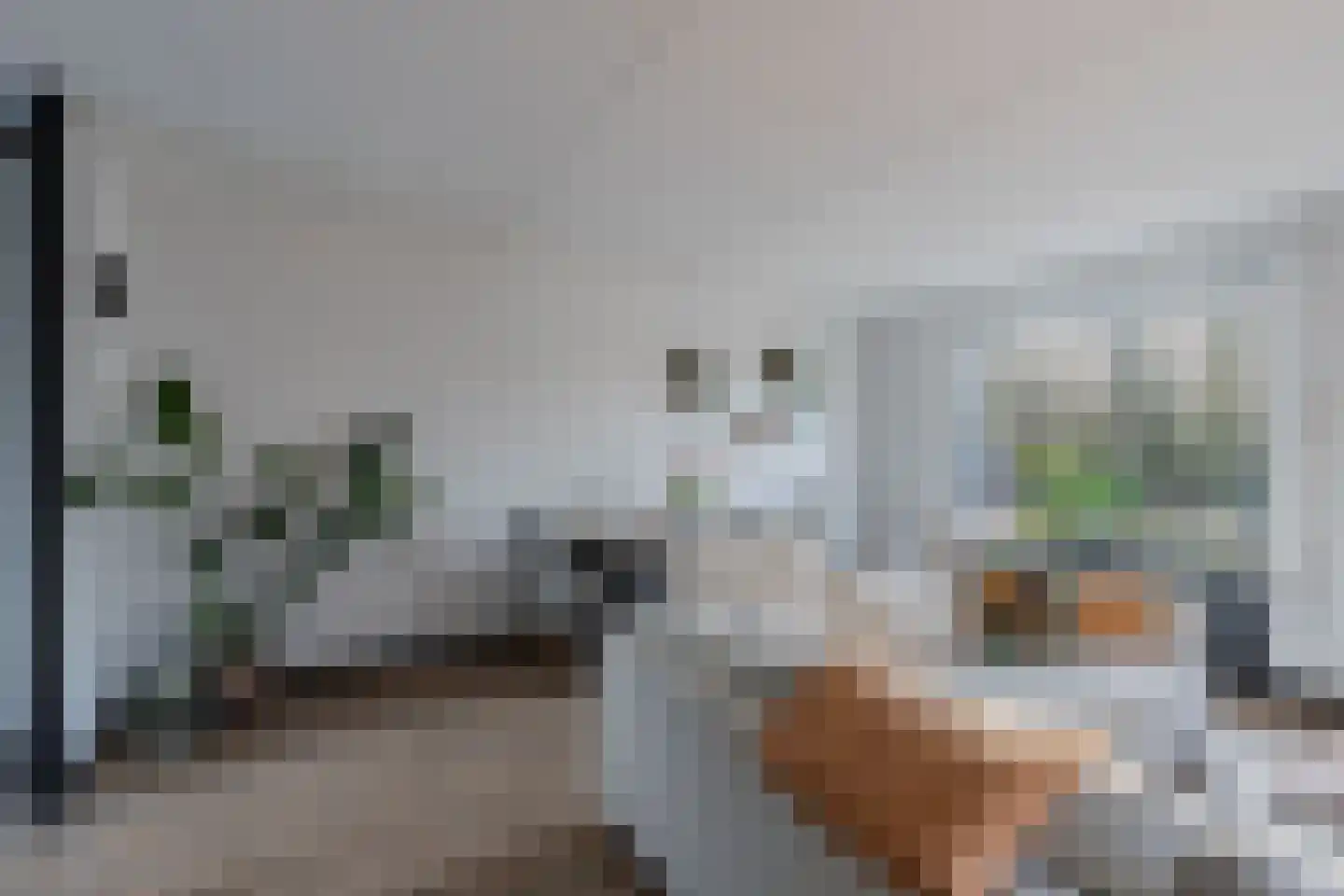 Mauritsweg 38 Noordwolde thumbnail 12