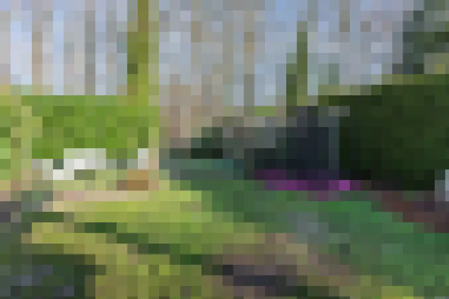 Mauritsweg 38 Noordwolde thumbnail 33