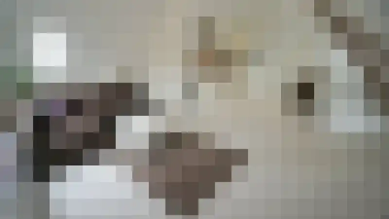 Mauritsweg 46 Rotterdam thumbnail 4