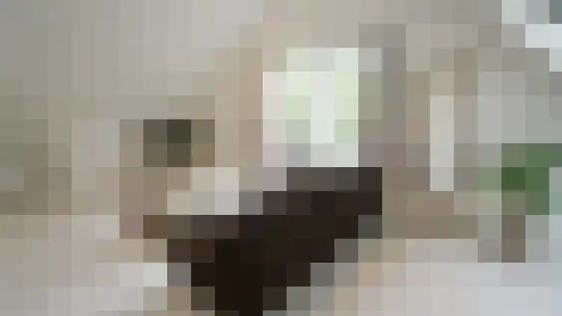Mauritsweg 46 Rotterdam thumbnail 6