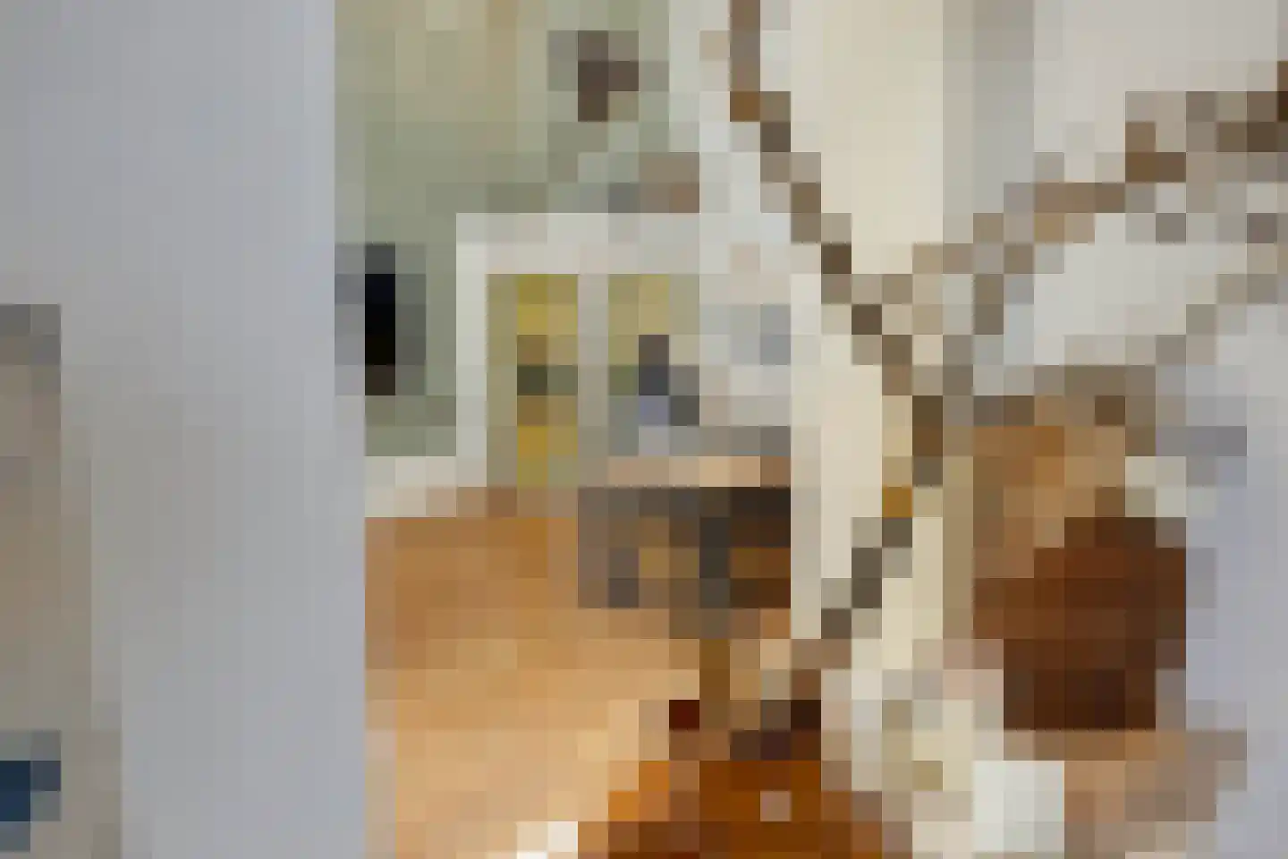 Mauritsweg 5 Stein thumbnail 31