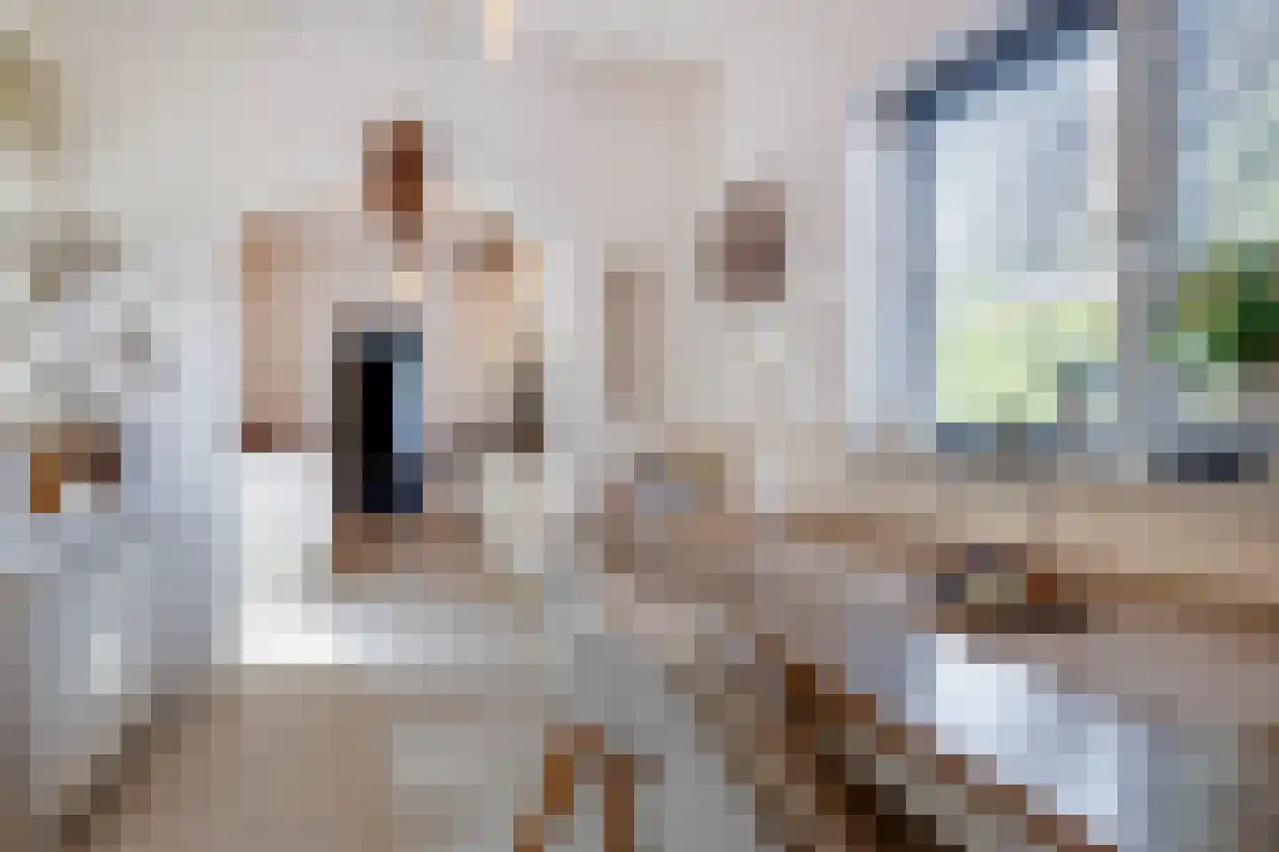 Mauritsweg 5 Stein thumbnail 33
