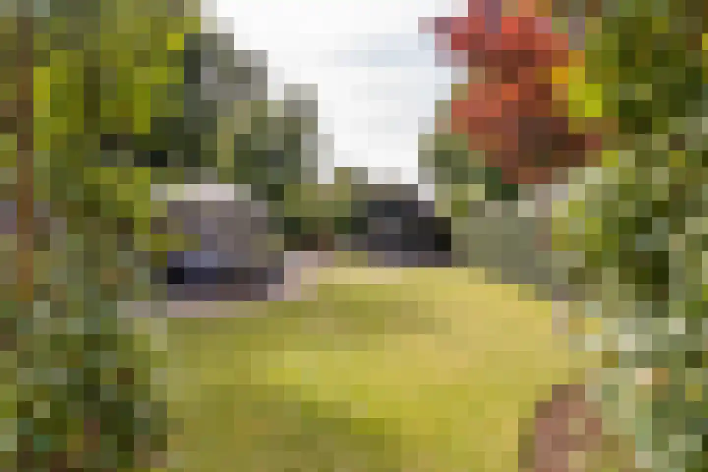 Mauritsweg 5 Stein thumbnail 66