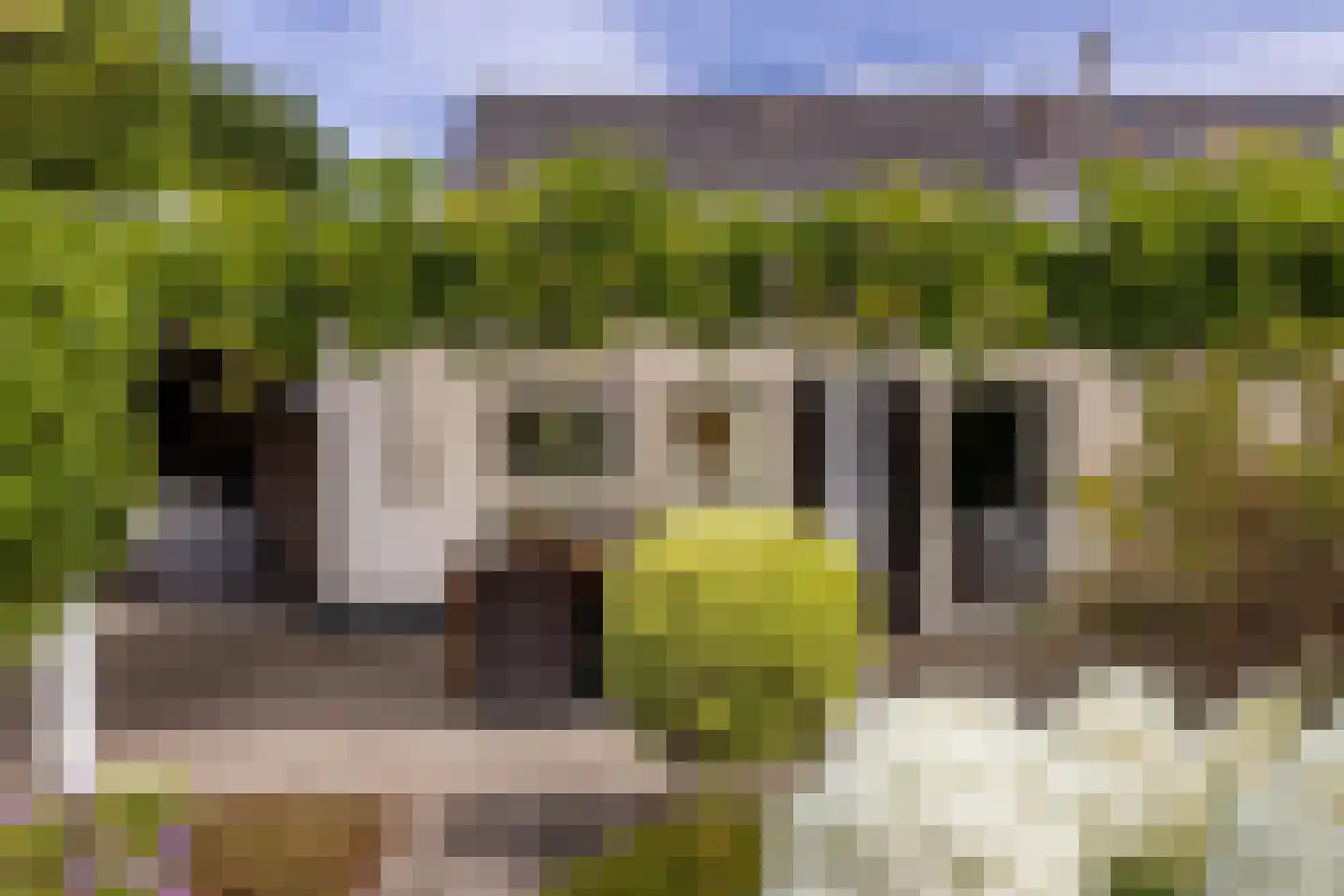 Mauritsweg 5 Stein thumbnail 72
