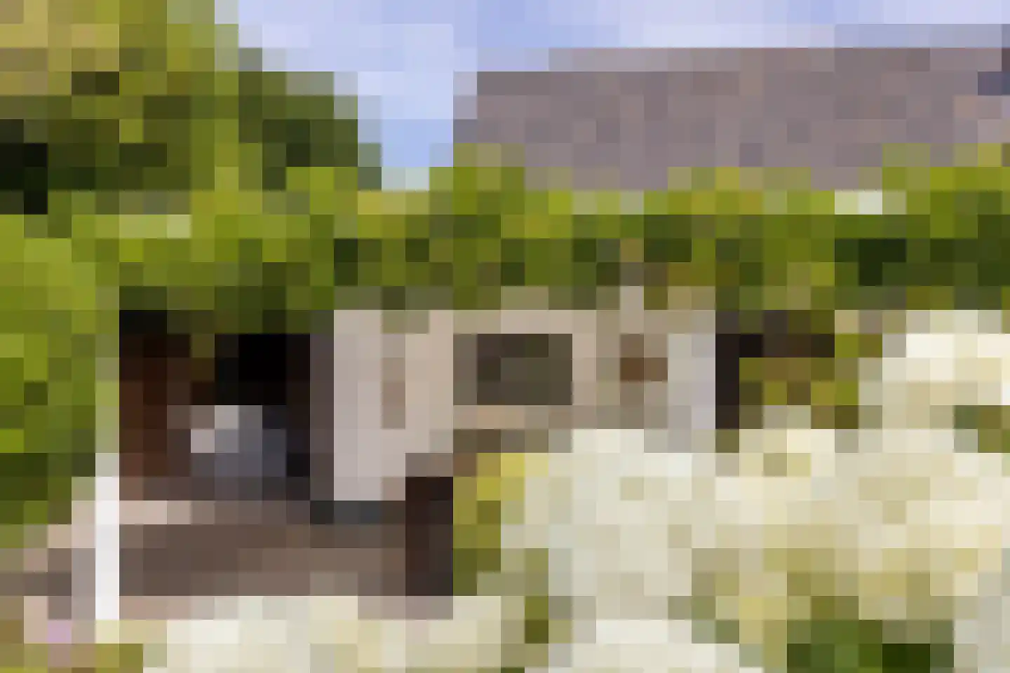 Mauritsweg 5 Stein thumbnail 73