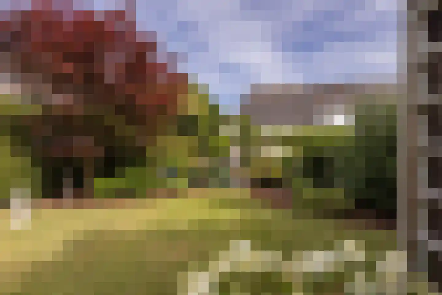 Mauritsweg 5 Stein thumbnail 74