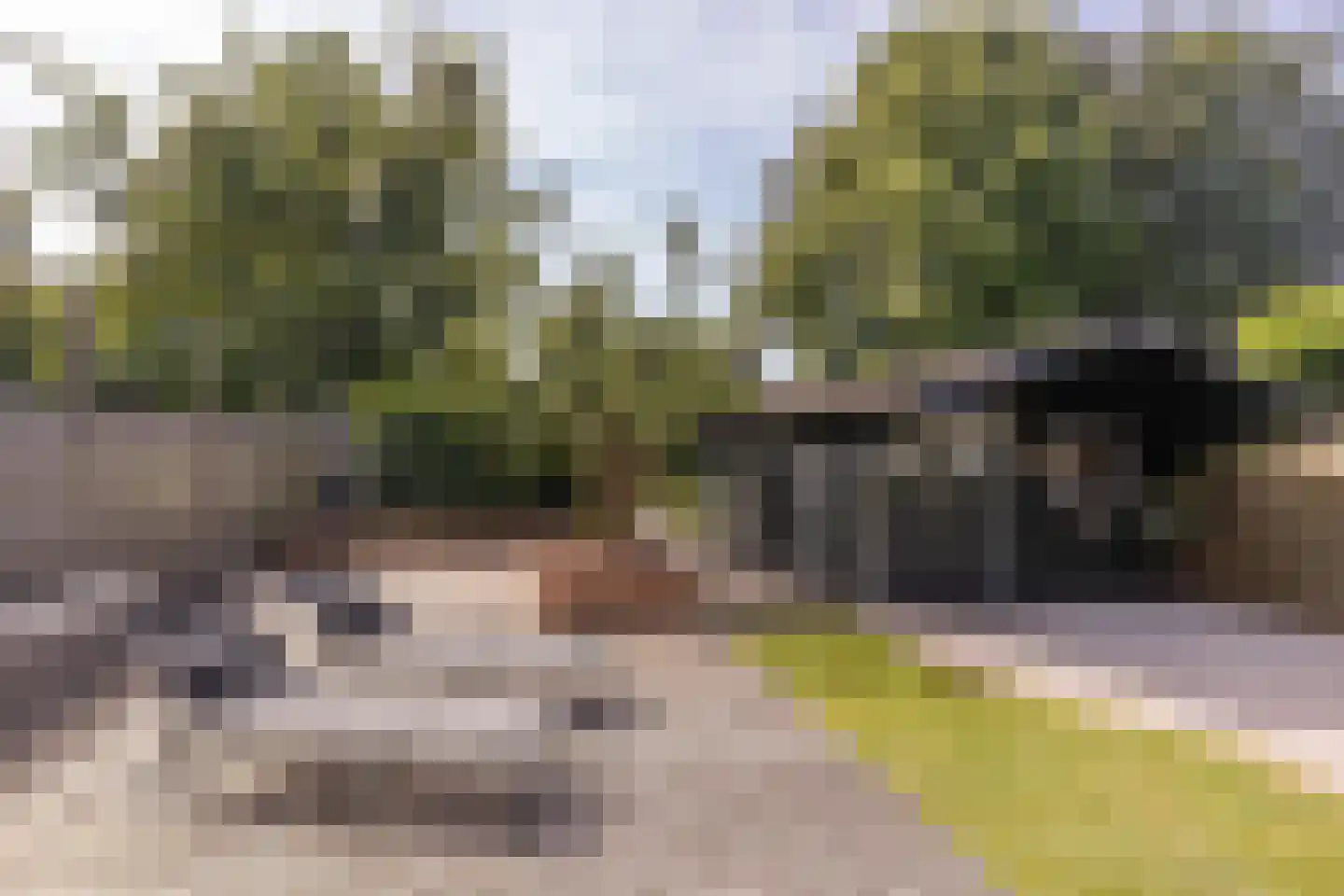 Mauritsweg 5 Stein thumbnail 75