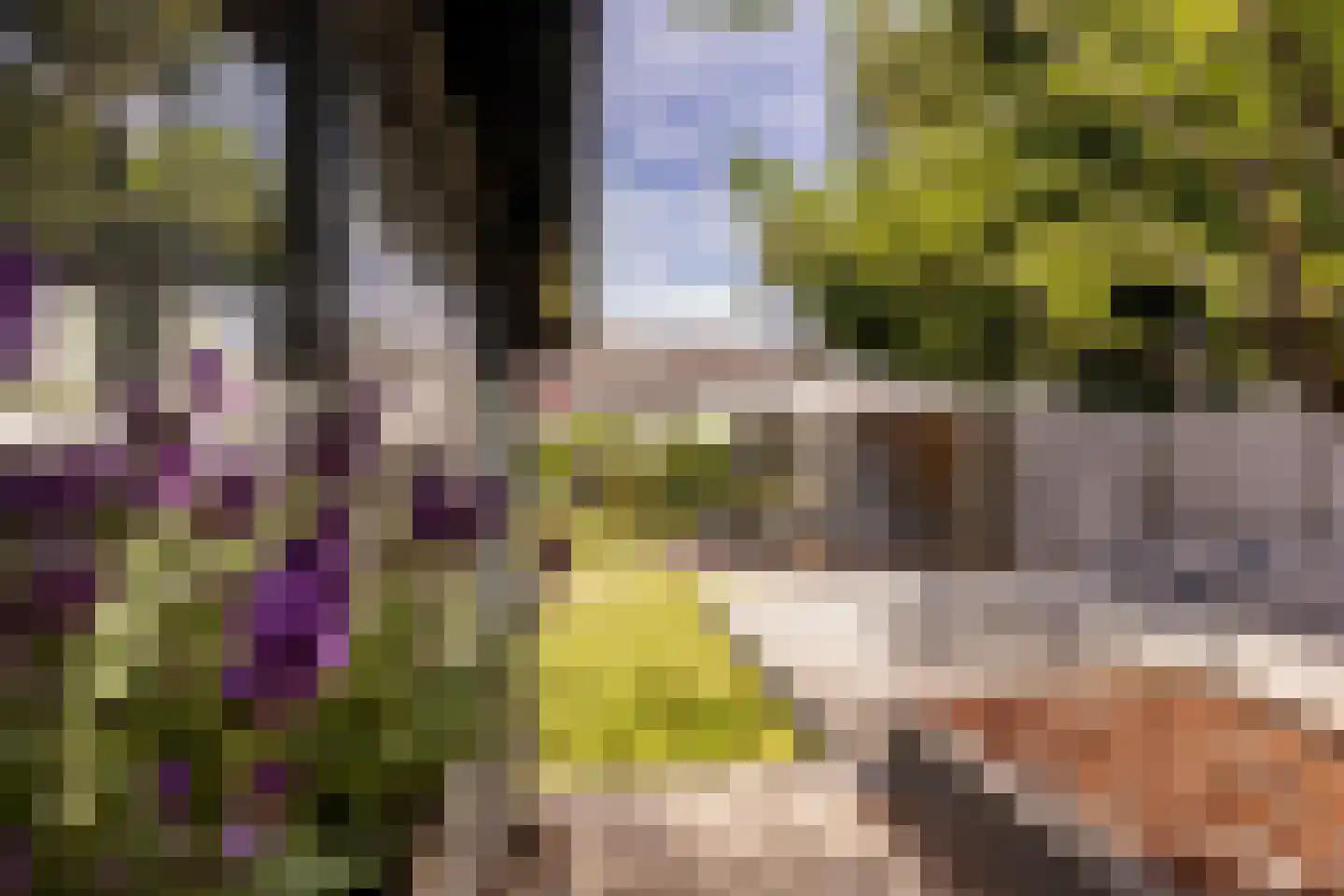 Mauritsweg 5 Stein thumbnail 76