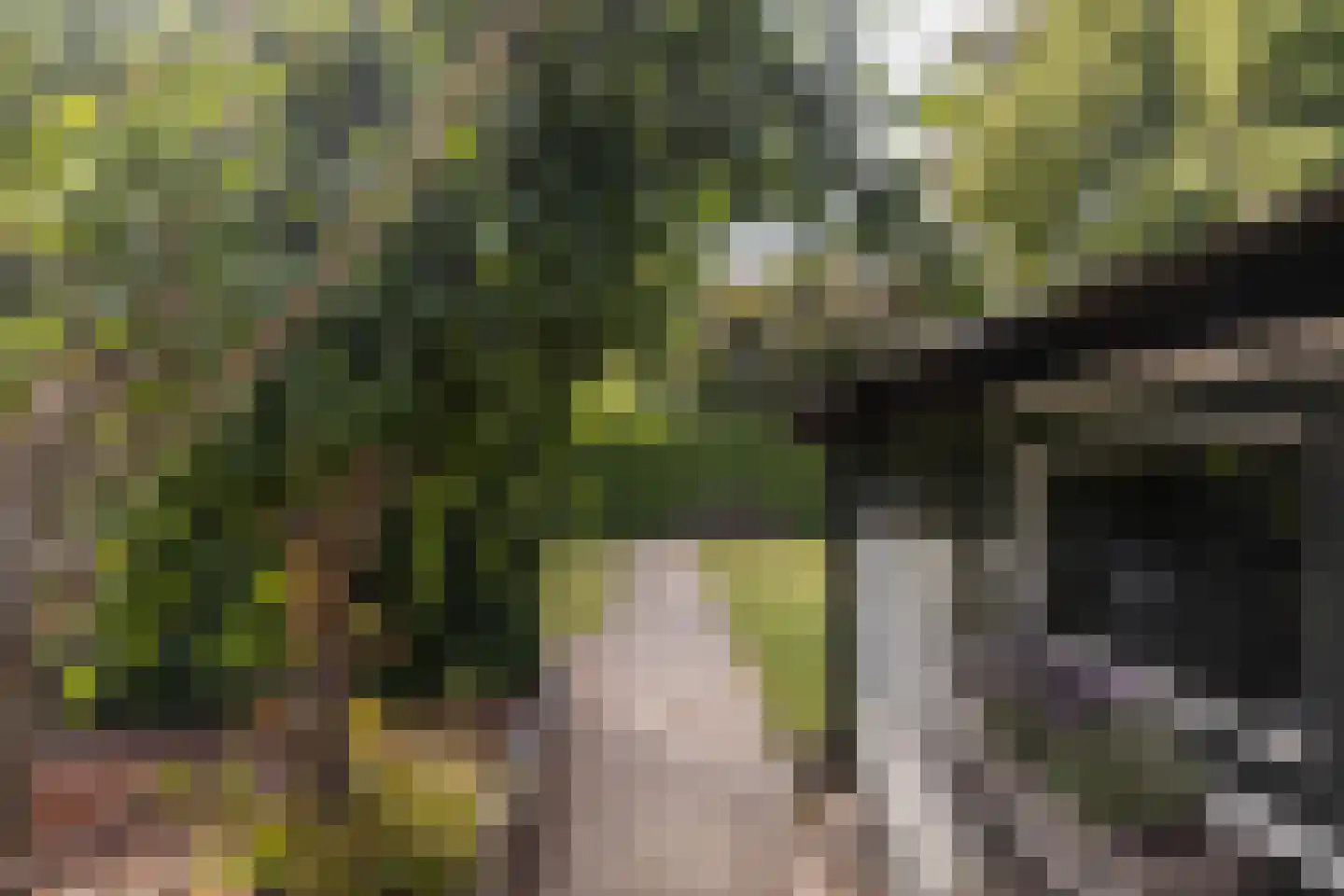 Mauritsweg 5 Stein thumbnail 77