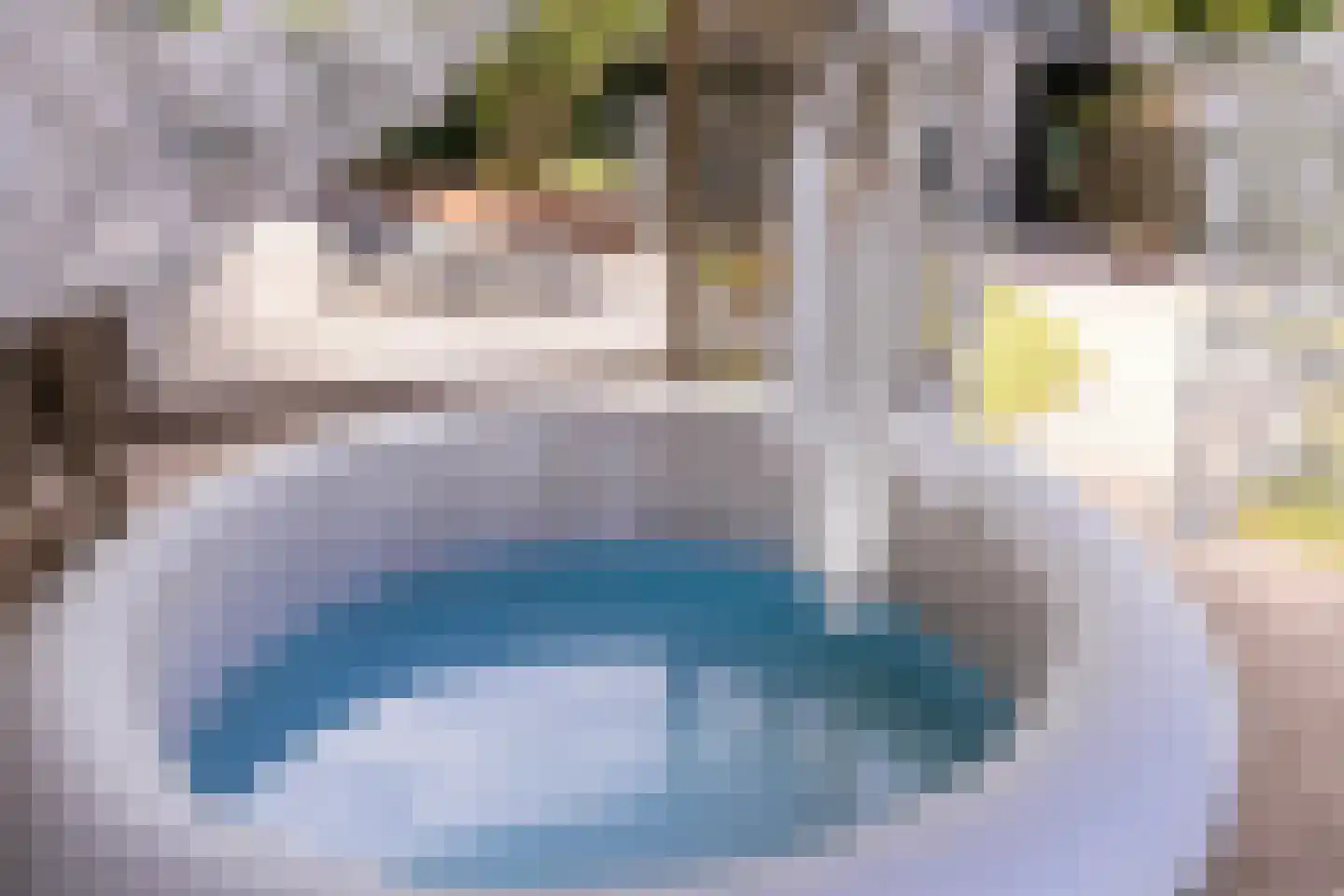 Mauritsweg 5 Stein thumbnail 83
