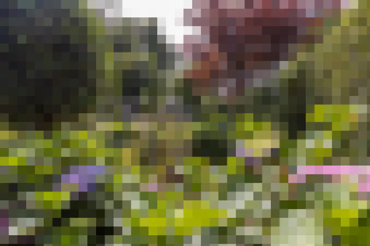 Mauritsweg 5 Stein thumbnail 85