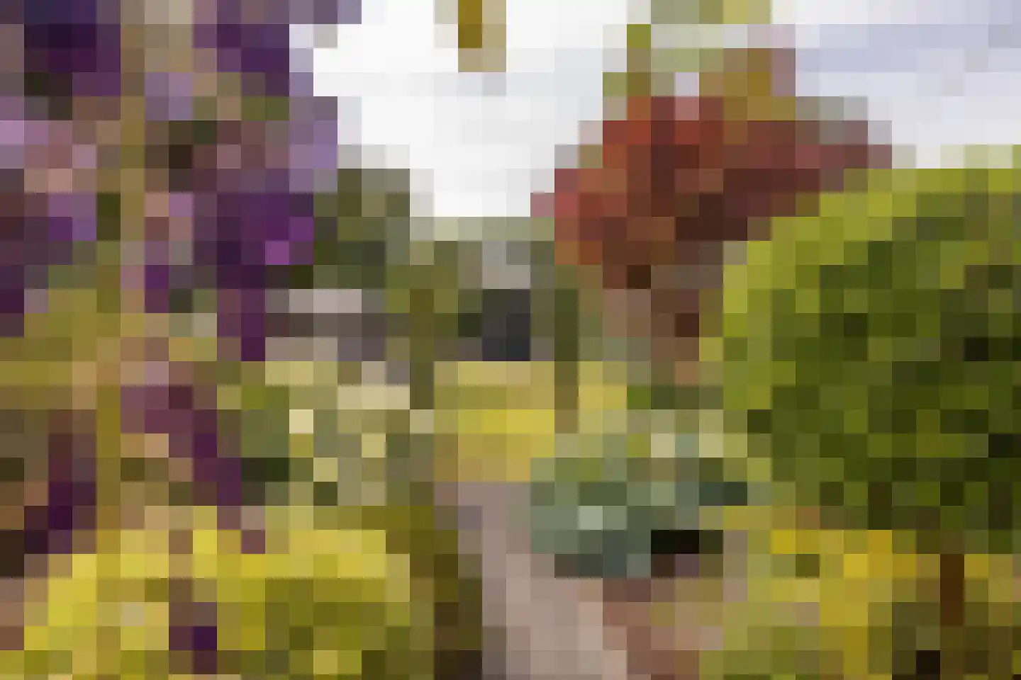 Mauritsweg 5 Stein thumbnail 86