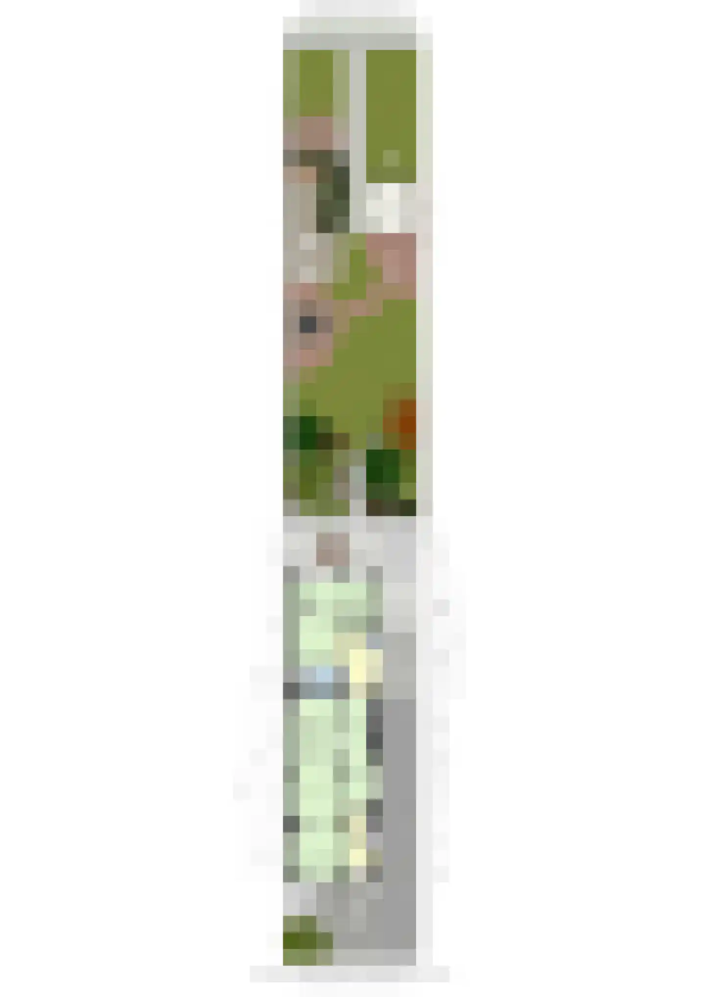 Mauritsweg 5 Stein thumbnail 94