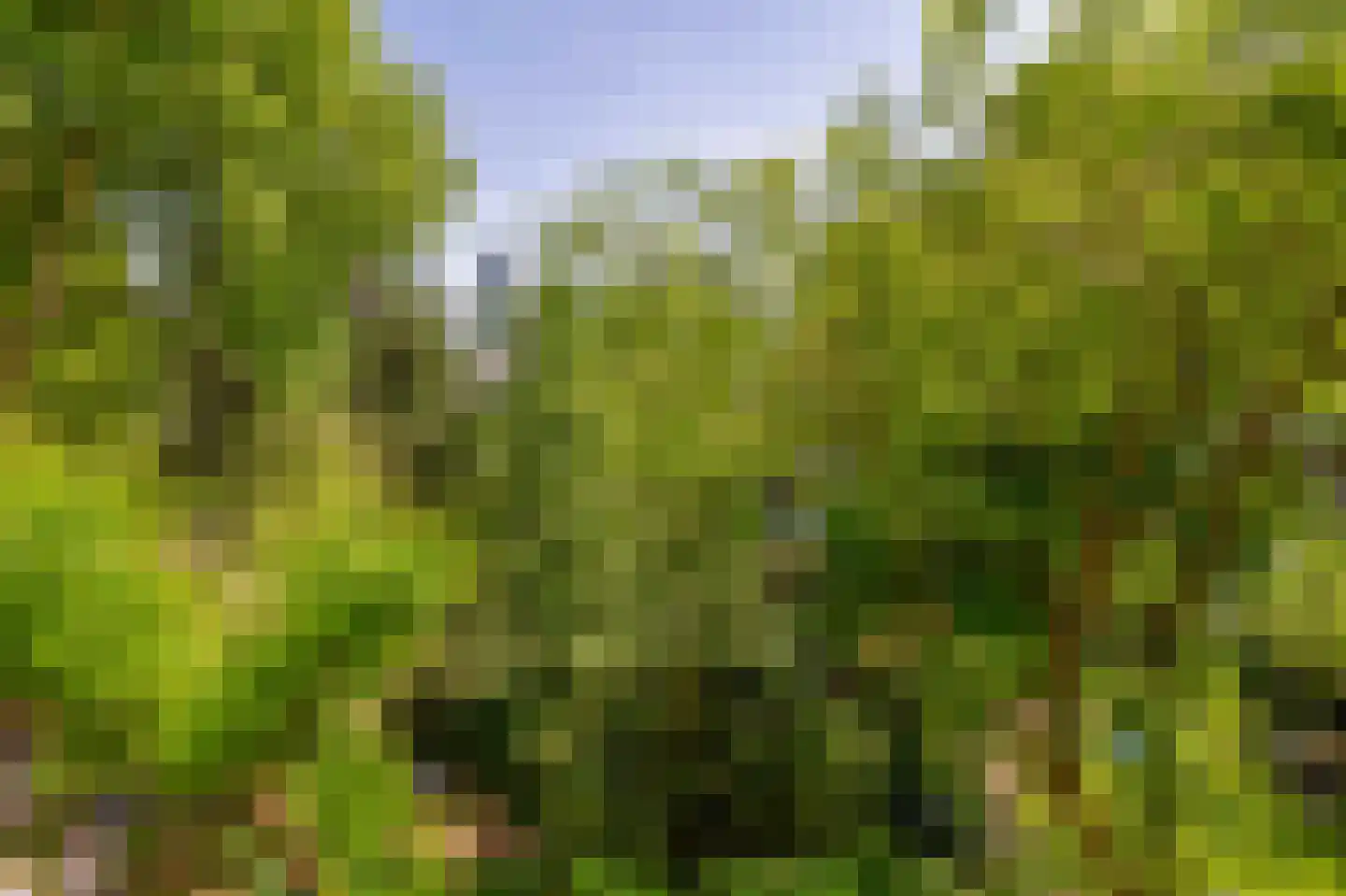 Mauritsweg 53 A Rotterdam thumbnail 37