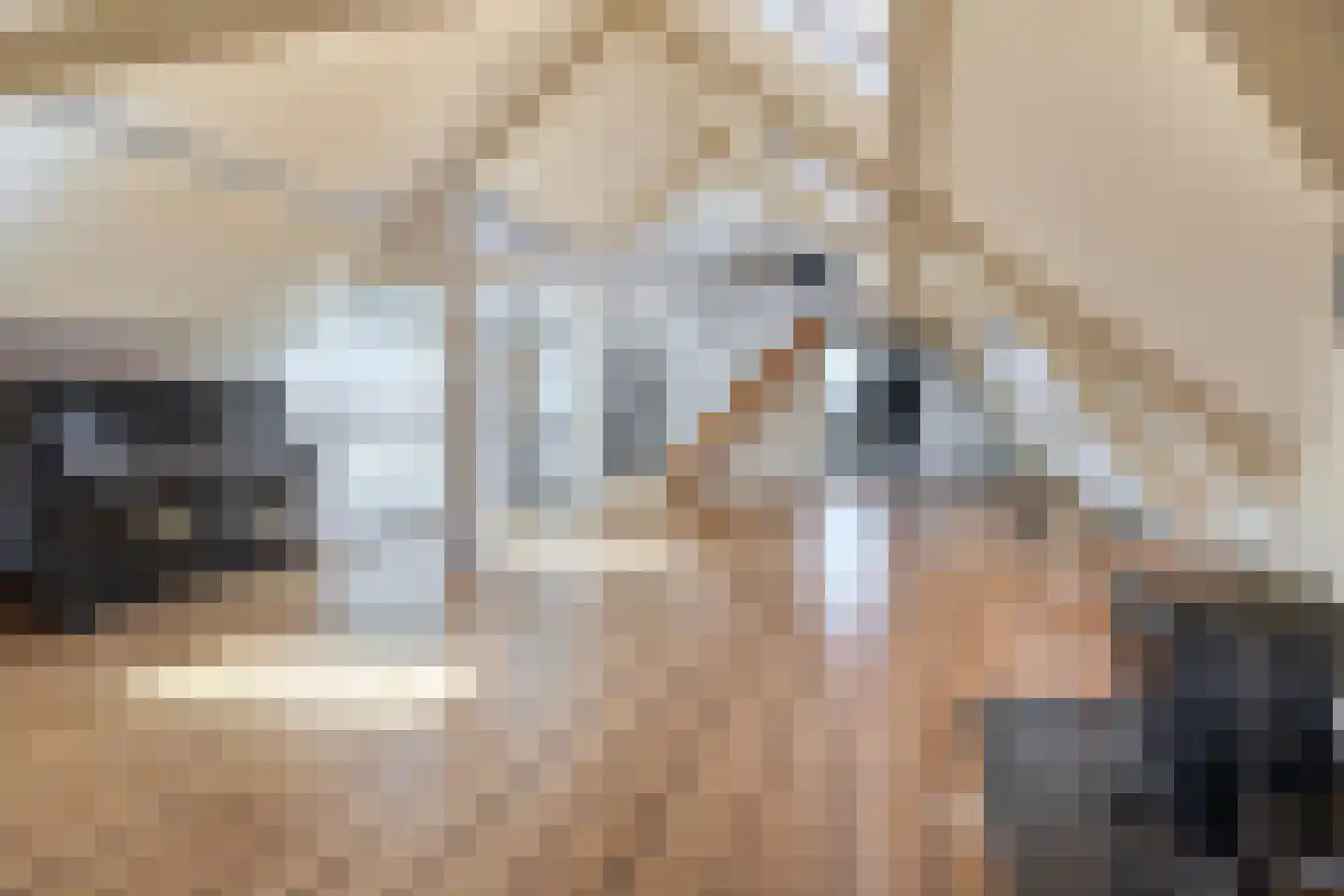 Mauritsweg 53 A Rotterdam thumbnail 54
