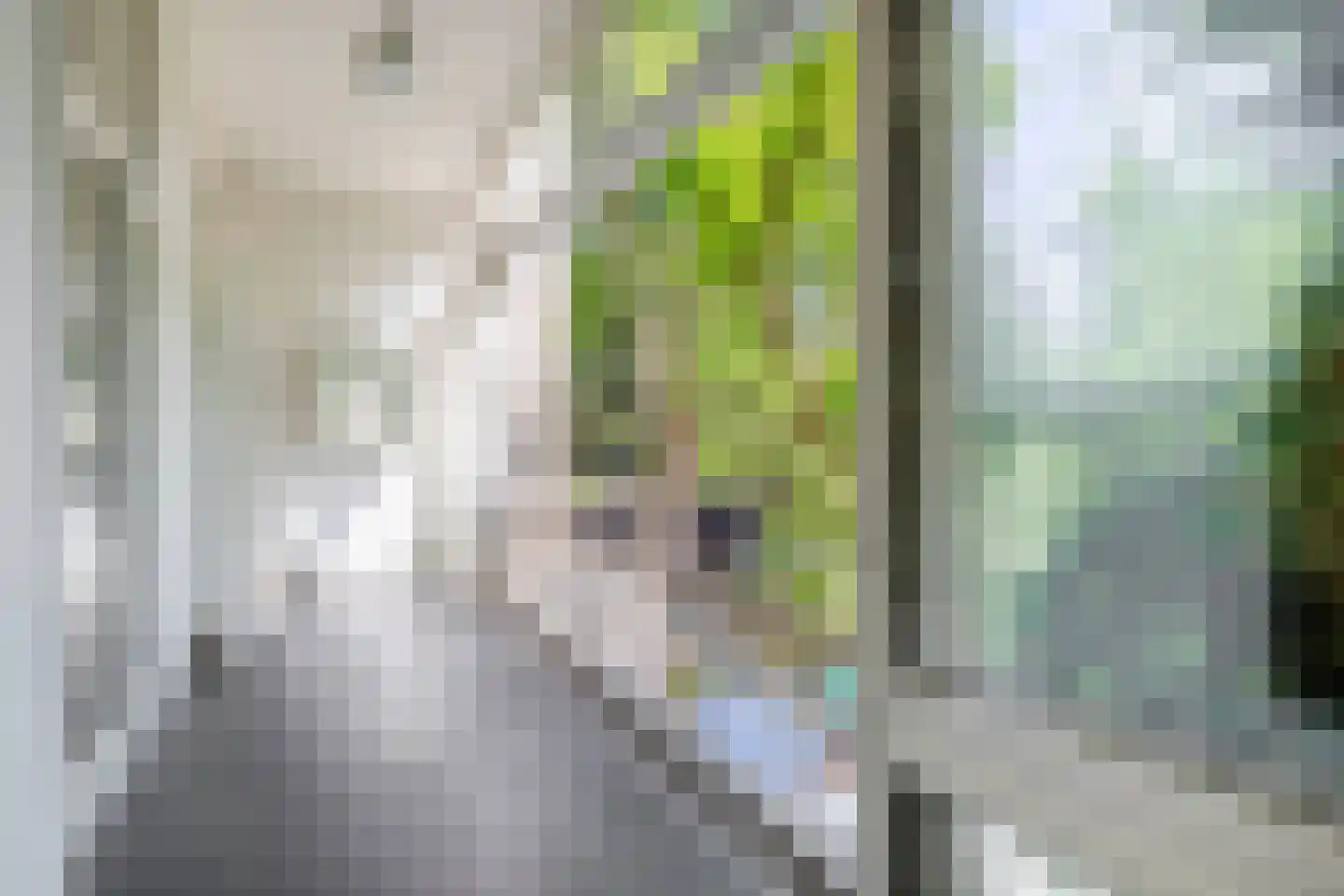 Mauritsweg 53 B Rotterdam thumbnail 28