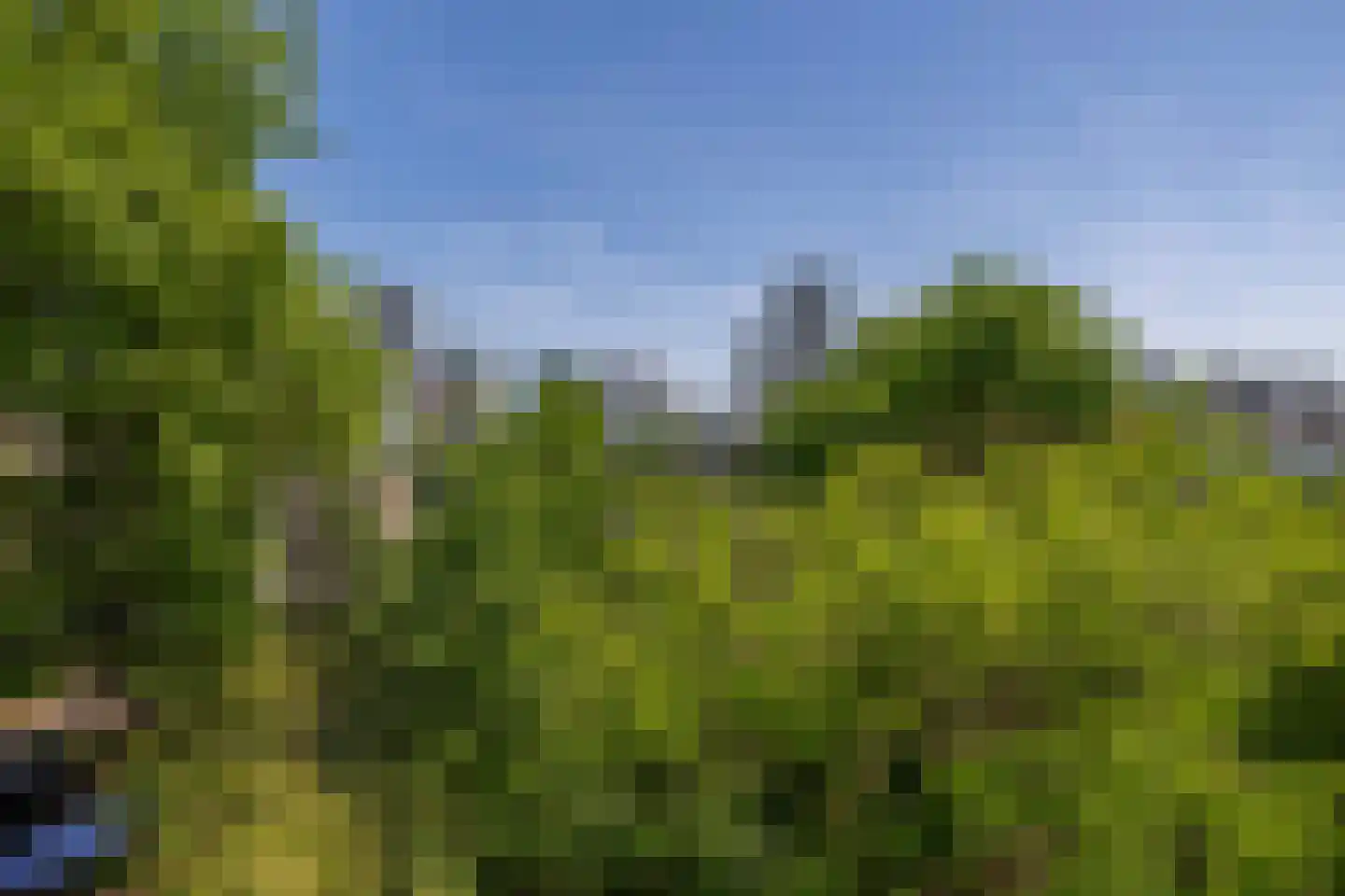 Mauritsweg 53 B Rotterdam thumbnail 62