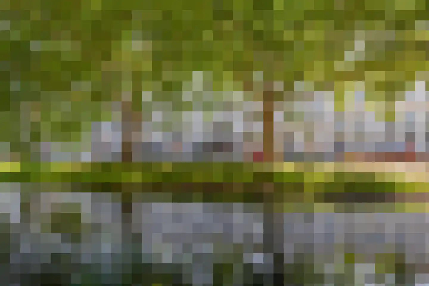 Mauritsweg 53 B Rotterdam thumbnail 72