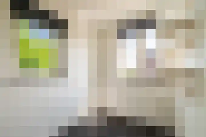 Mauritsweg 54 Stein thumbnail 12
