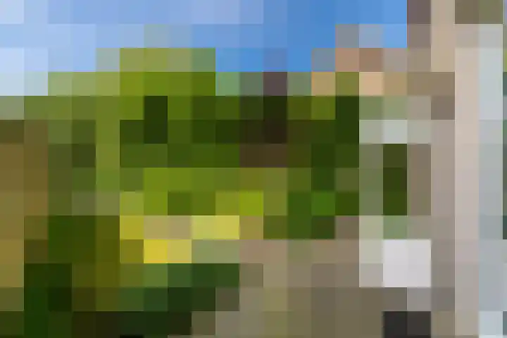 Mauritsweg 54 Stein thumbnail 16