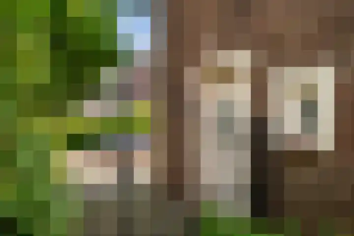 Mauritsweg 54 Stein thumbnail 4