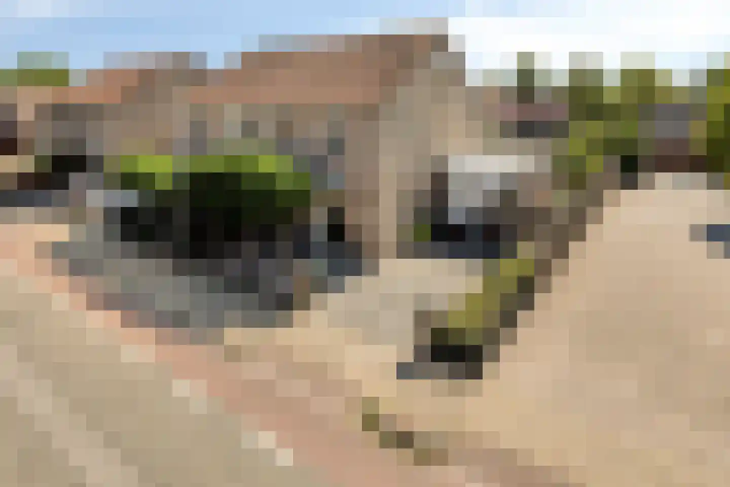 Mauritsweg 64 Renesse