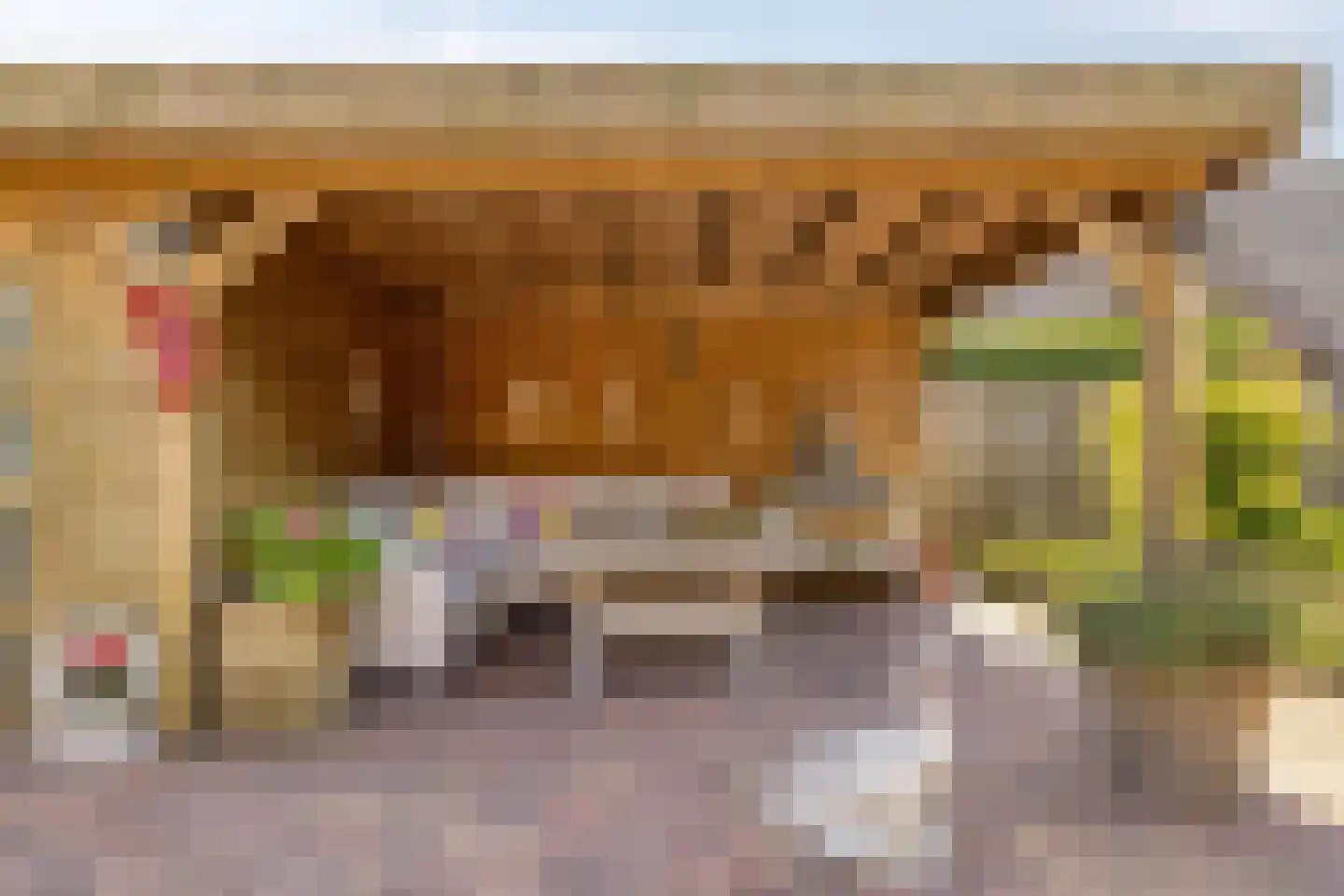 Mauritsweg 64 Renesse thumbnail 29