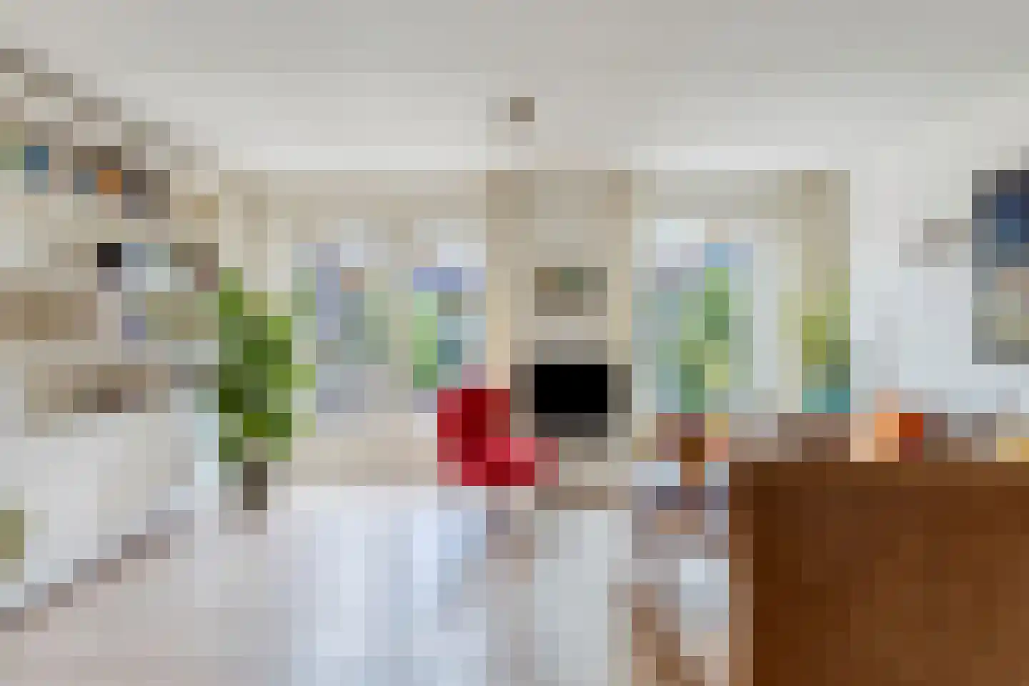 Mauritsweg 64 Renesse thumbnail 5