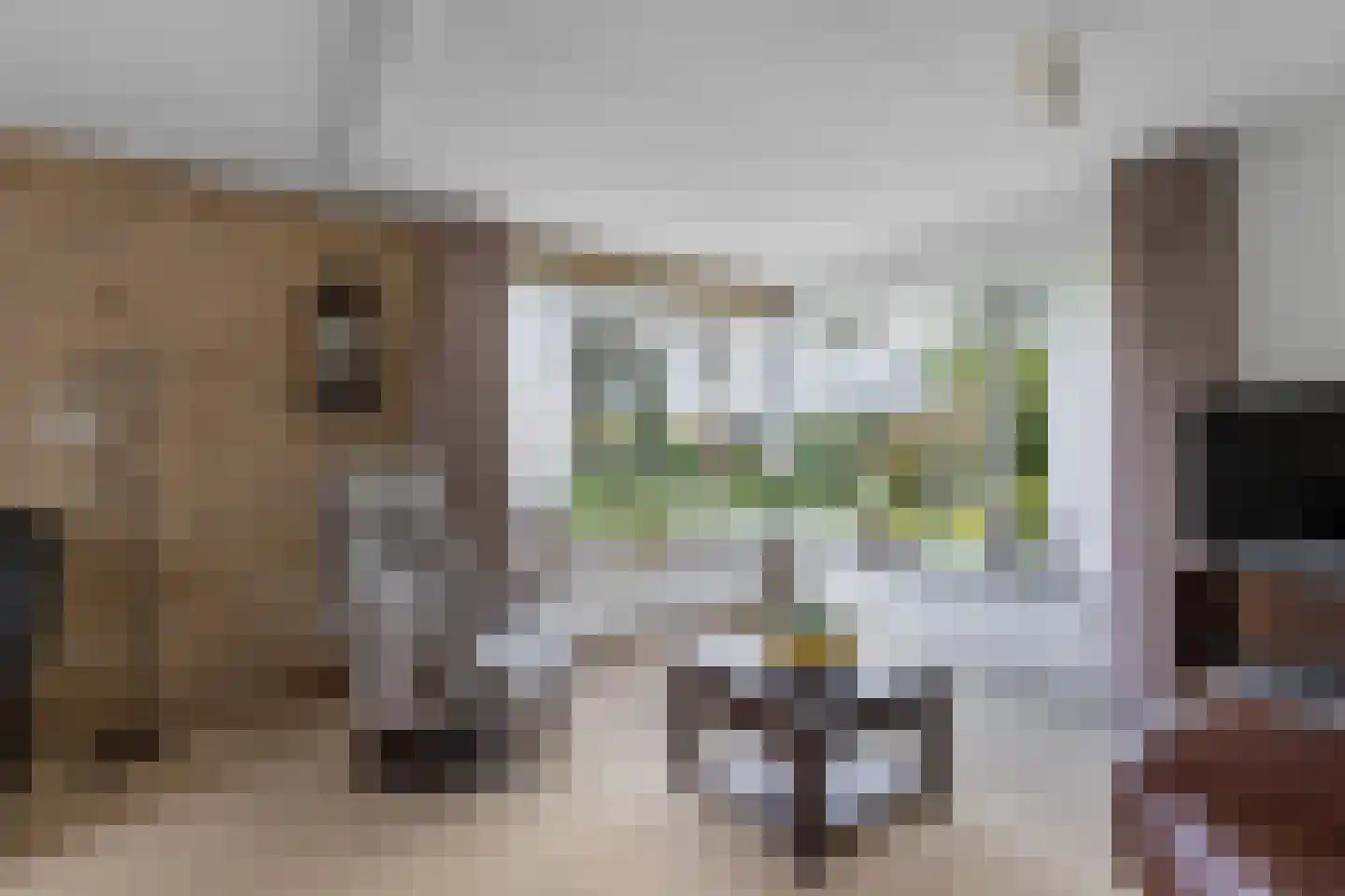 Mauritsweg 7 Noordwolde thumbnail 12