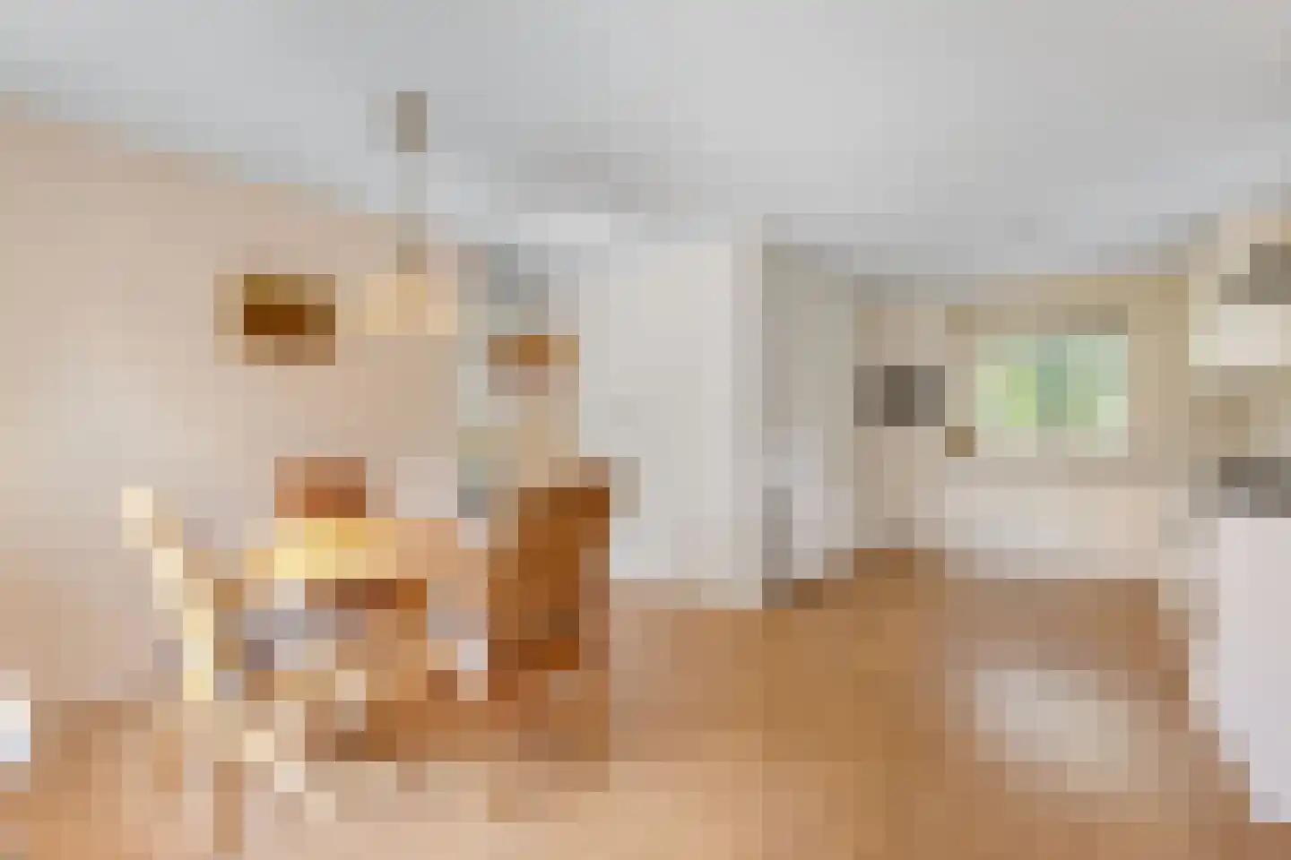 Mauritsweg 7 Noordwolde thumbnail 17