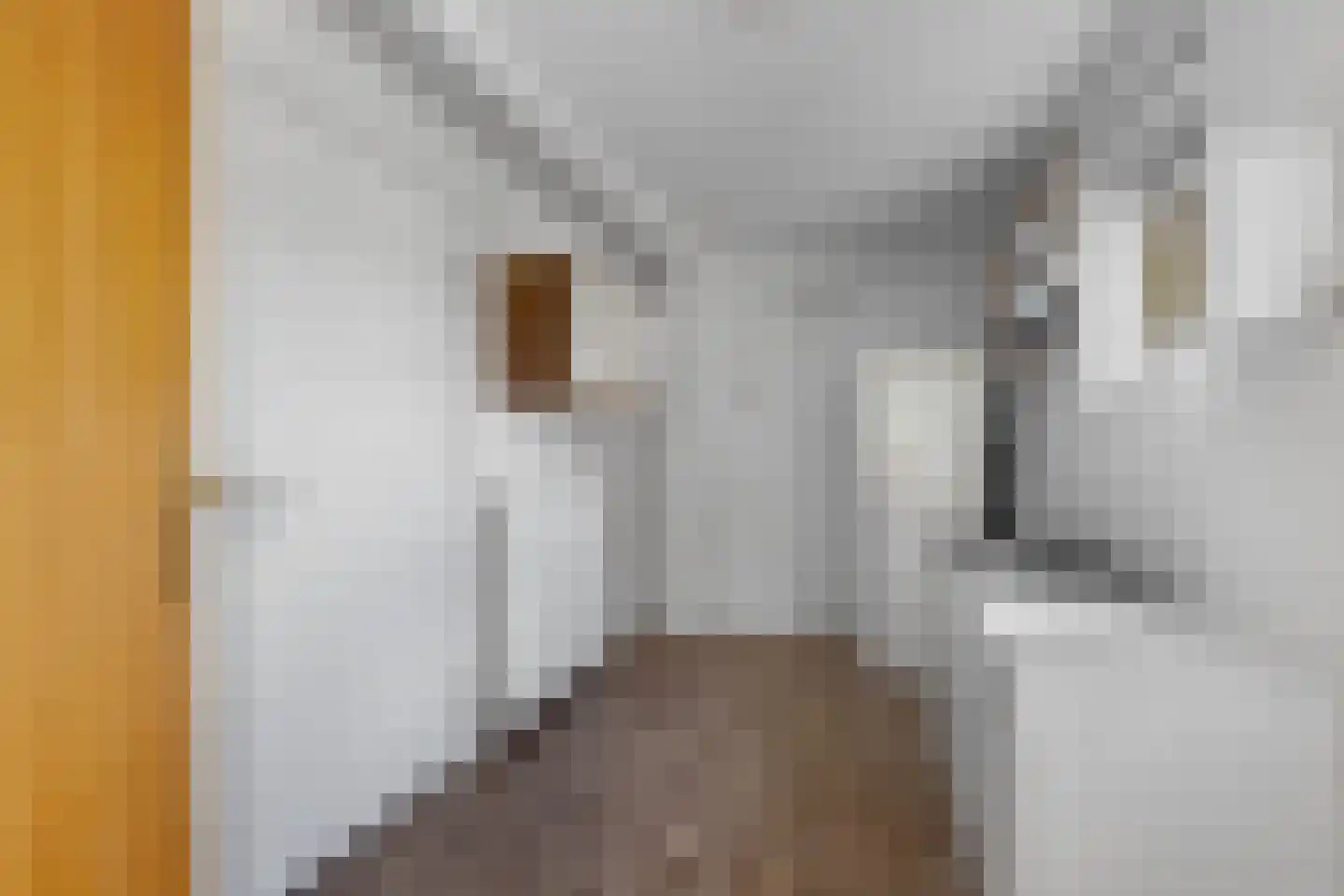 Mauritsweg 7 Noordwolde thumbnail 18