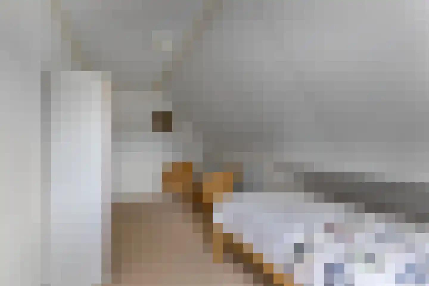Mauritsweg 7 Noordwolde thumbnail 33