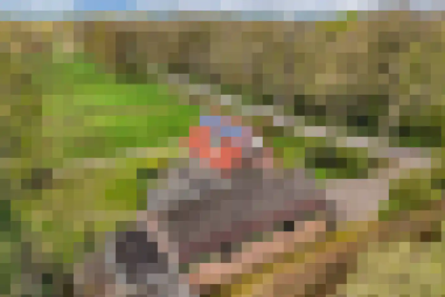 Mauritsweg 7 Noordwolde thumbnail 4