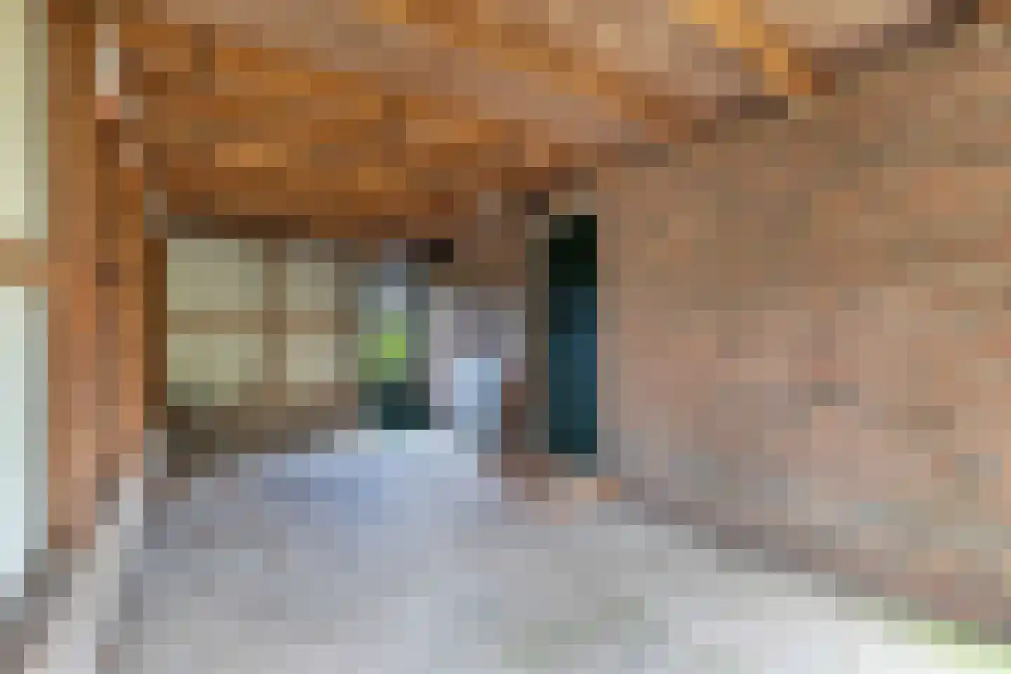 Mauritsweg 7 Noordwolde thumbnail 41