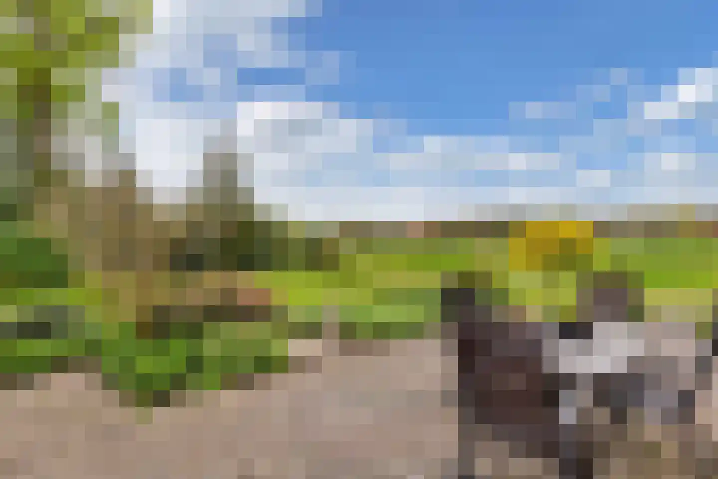 Mauritsweg 7 Noordwolde thumbnail 44