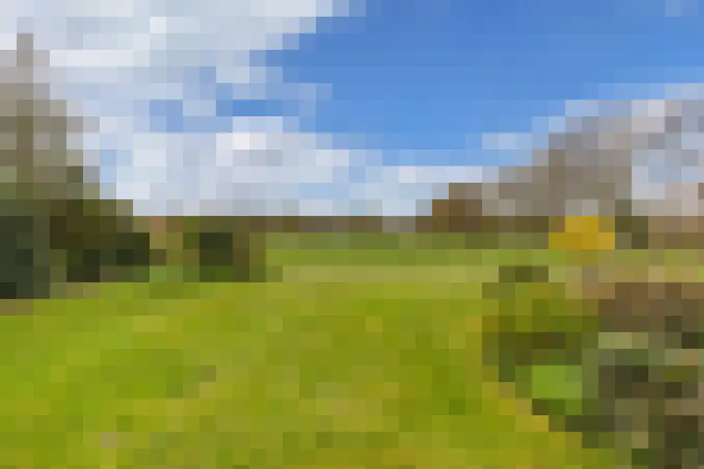 Mauritsweg 7 Noordwolde thumbnail 46