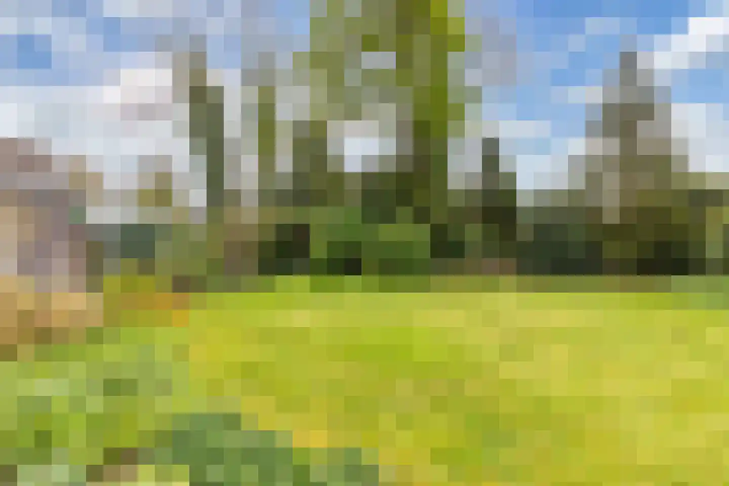 Mauritsweg 7 Noordwolde thumbnail 47