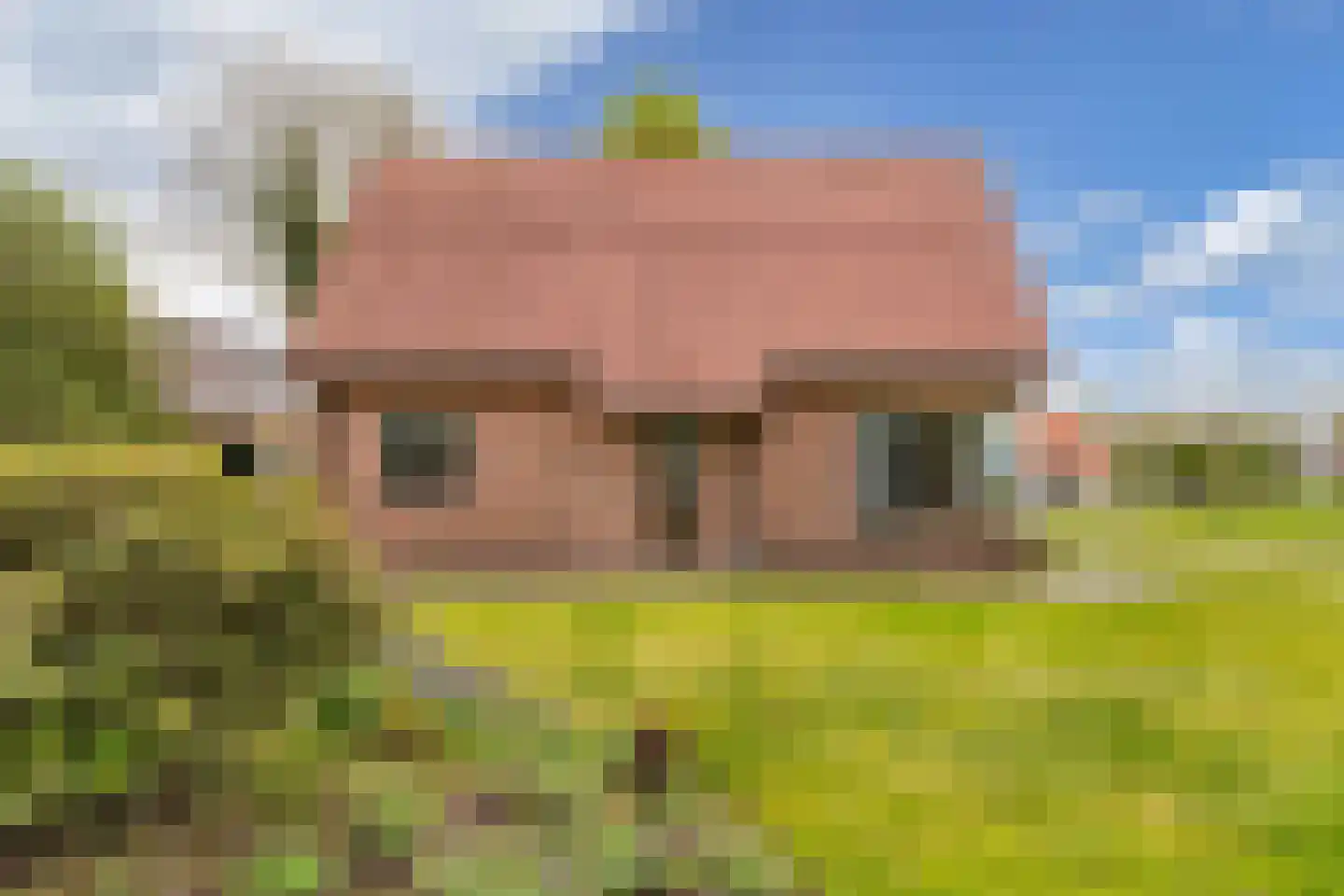 Mauritsweg 7 Noordwolde thumbnail 51
