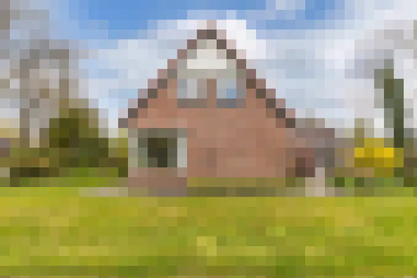 Mauritsweg 7 Noordwolde thumbnail 54