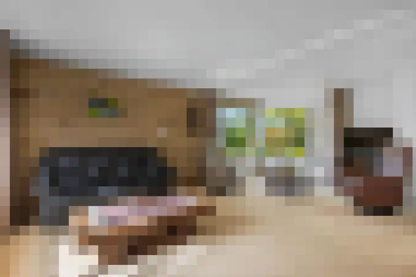 Mauritsweg 7 Noordwolde thumbnail 8